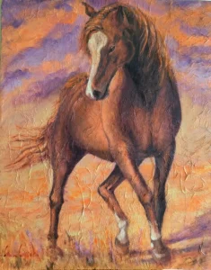 Cavallo - 2024
